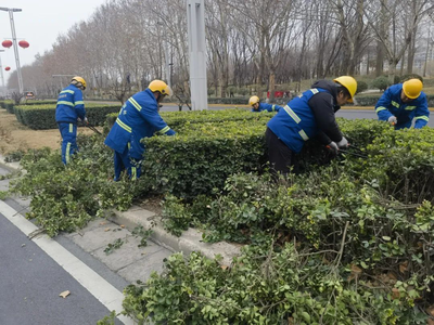 呵护绿色生命，扮靓绿城美丽篇章——郑州市城市管理局全面开展春季绿化养护工作扫描