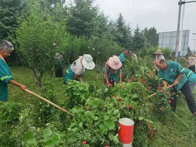 提升城市绿化管理水平！菏泽市牡丹区园林开展工作新模式