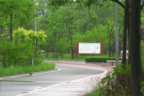 临沂蒙阴 园林绿化提档升级 城市面貌焕然一新