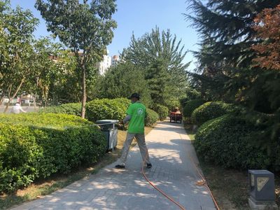西安浐灞生态区七标段8月20日绿化养护工作日志 城市绿化的精细管理之舞